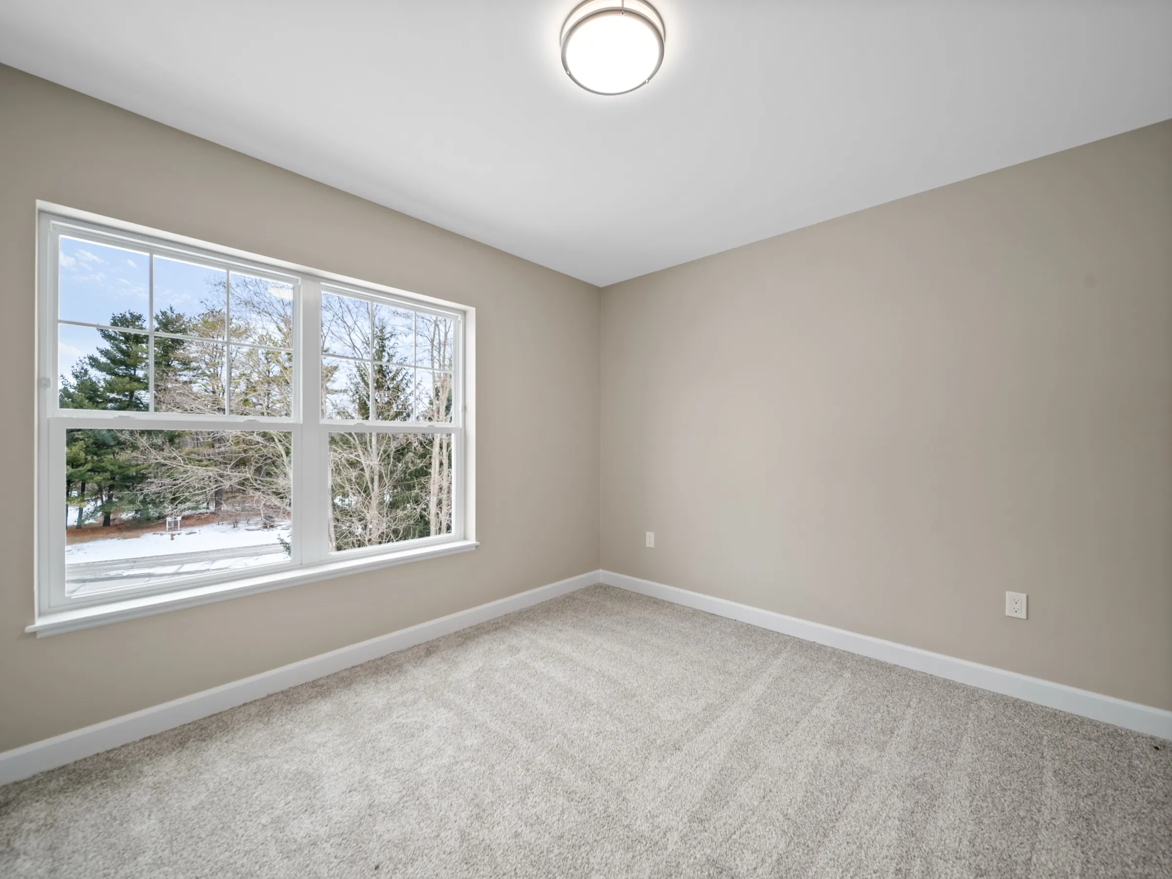 Carpeted bedroom with a wide double-hung window looking into the pines.