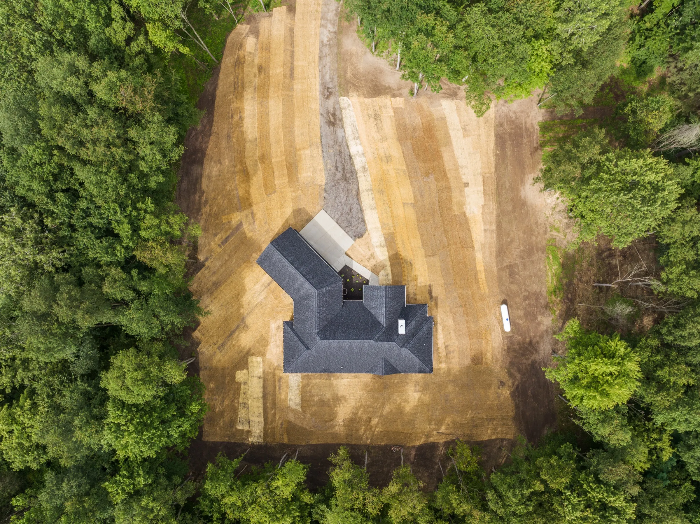 Overhead view of the house in the clearing, with the drive running out through the trees.